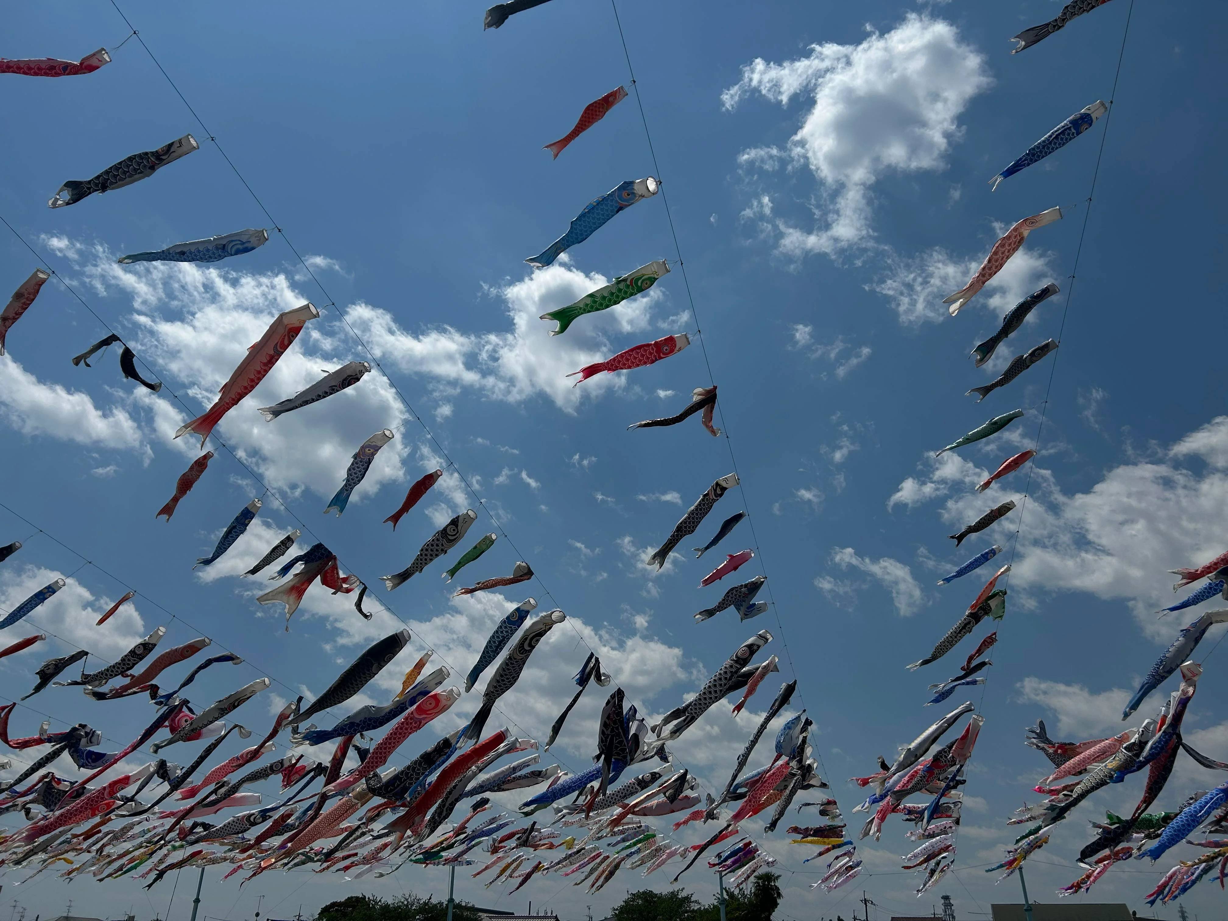 ⛩️ 노미 신사 (野見神社) 이미지 9